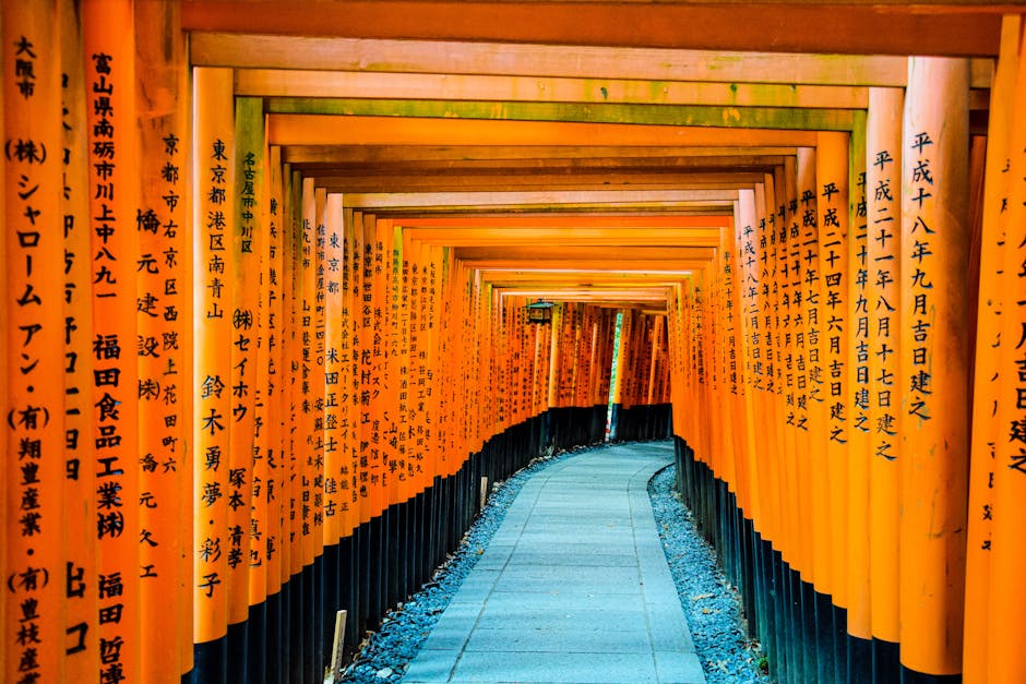 An Insider's Guide to Japan: From Tokyo to Kyoto