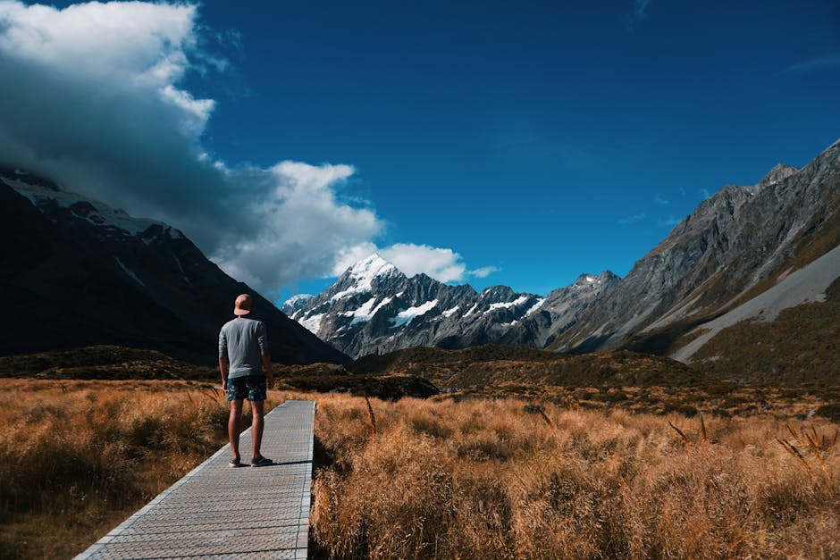 Navigating New Zealand: The Ultimate Travel Companion